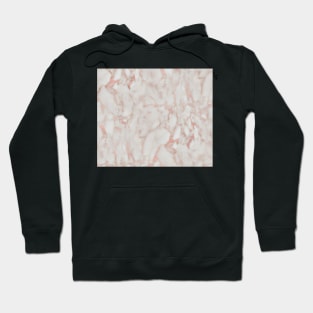 Piazza rose gold marble Hoodie